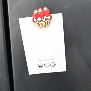 Fridge Magnets