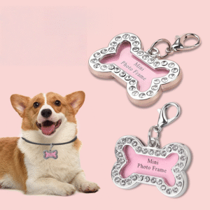 pet name tag